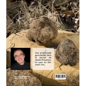 RECETTES GOURMANDES AUTOUR DE LA TRUFFE d'Alain BILES