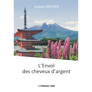 L’ENVOL DES CHEVEUX...