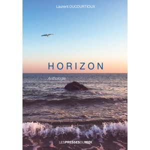 HORIZON de Laurent DUCOURTIOUX