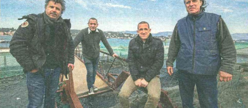 Philippe Stefanini - Vers une aquaculture marine plus éthique